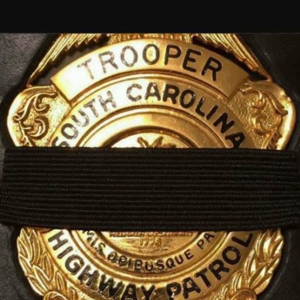 Meet your Posher, Raven